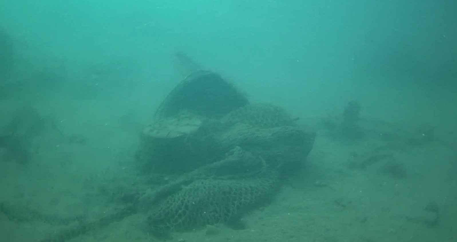 沼津港 釣り 水中映像