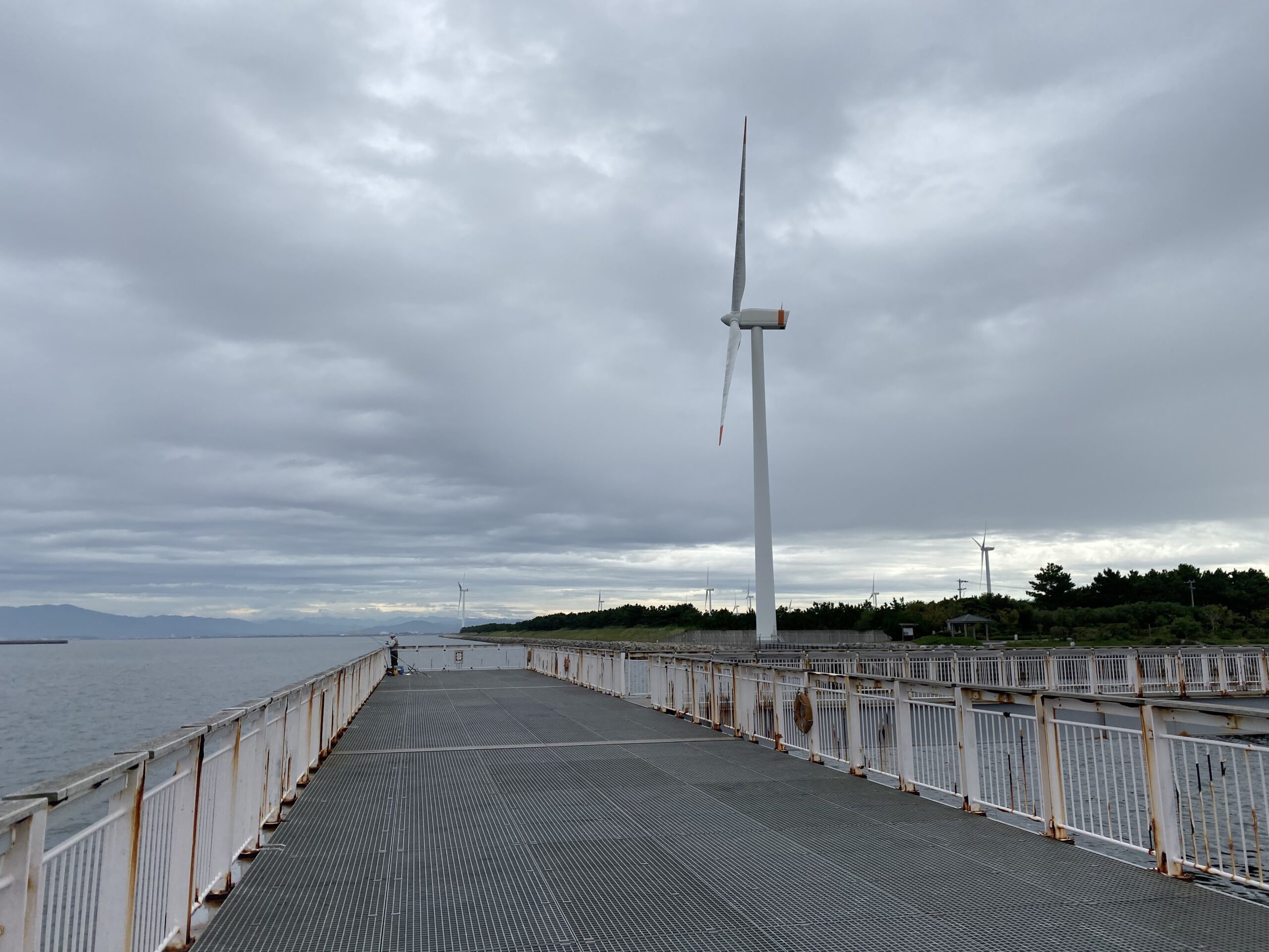 緑が浜エコパーク　釣り