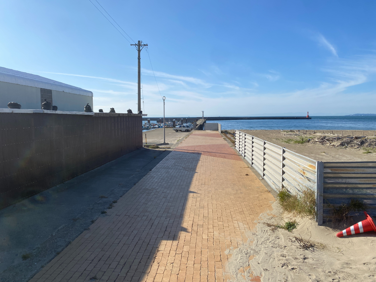 伊良湖港　釣り