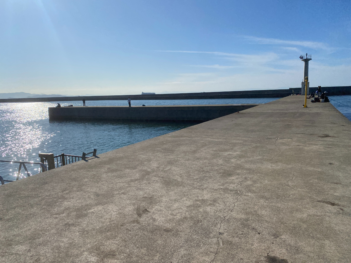 伊良湖港　釣り