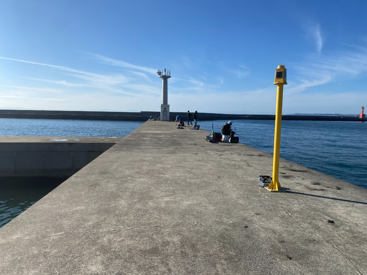 伊良湖港　釣り