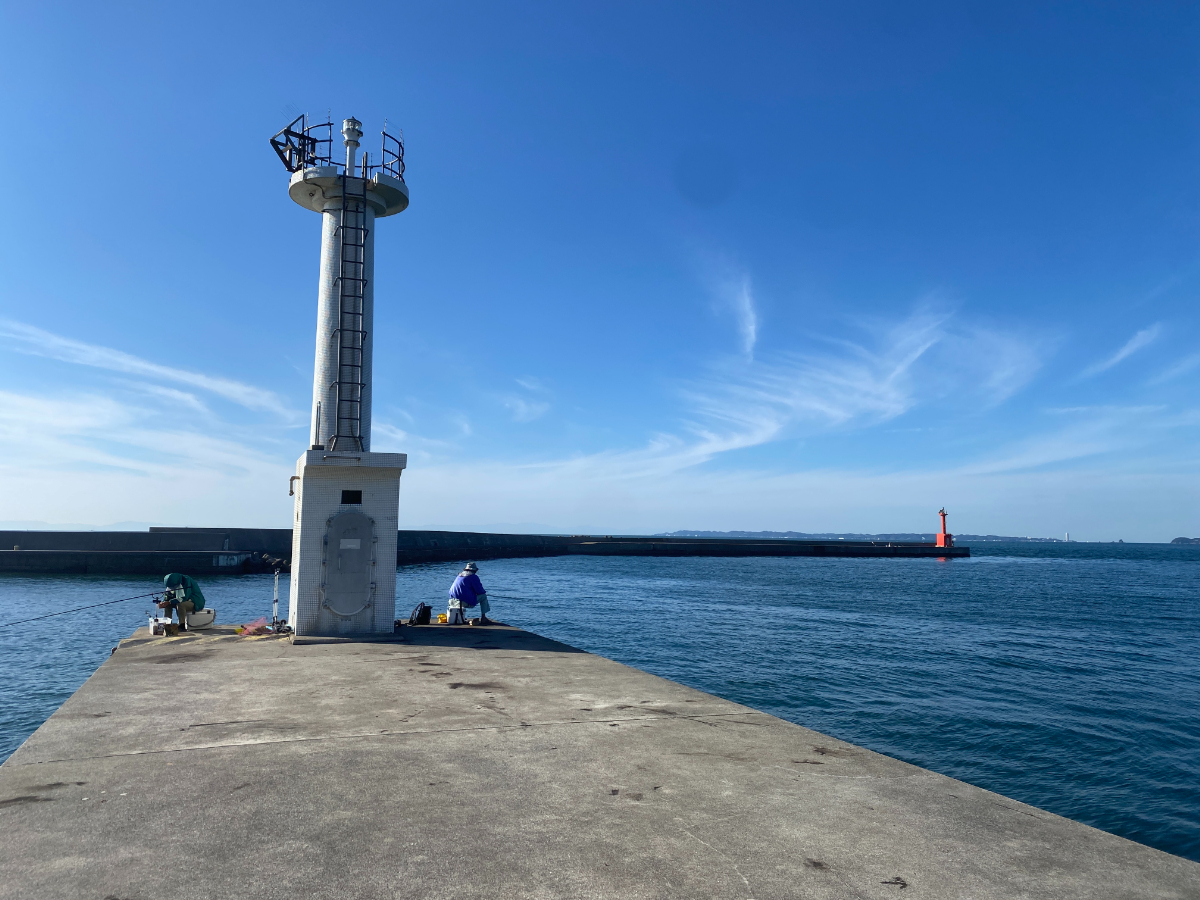 伊良湖港　釣り