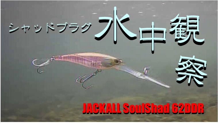 水中観察 JACKALL SoulShad 62DDR