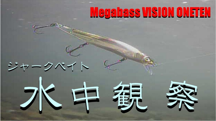 水中観察 Megabass VISION ONETEN
