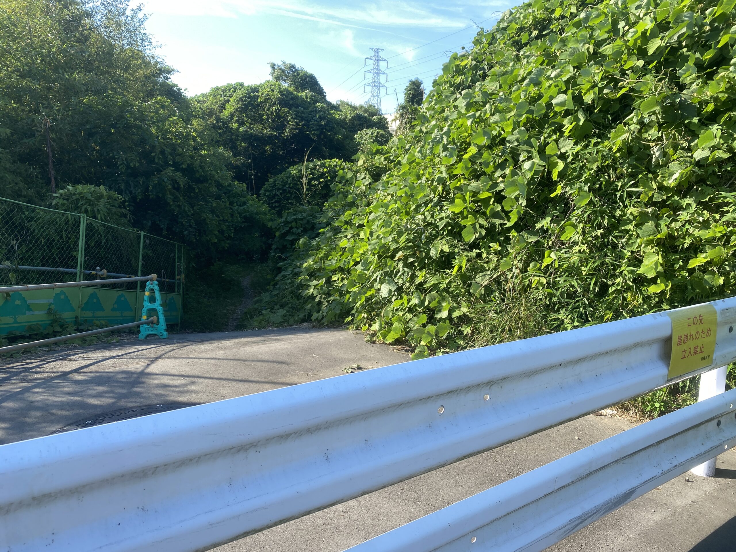 津久井湖 中沢ワンド 立入禁止