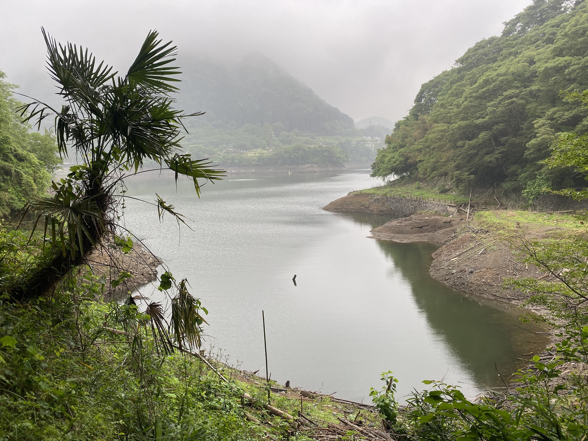 津久井湖 バス釣り 中沢ワンド全景