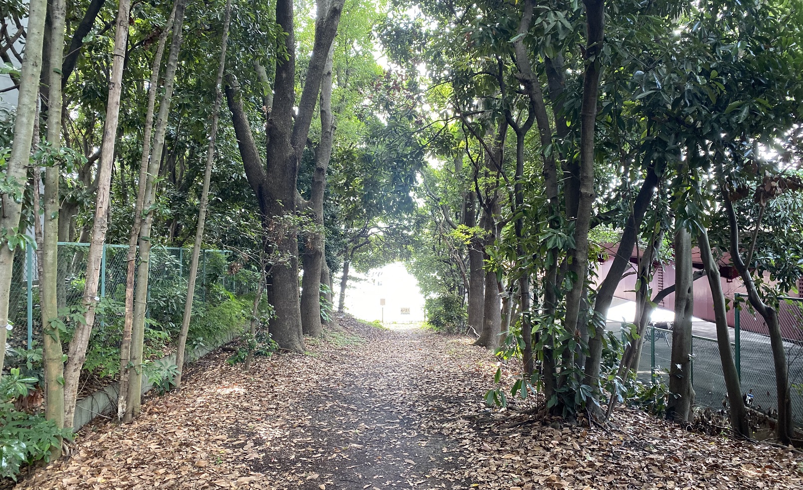 京浜島緑道公園04