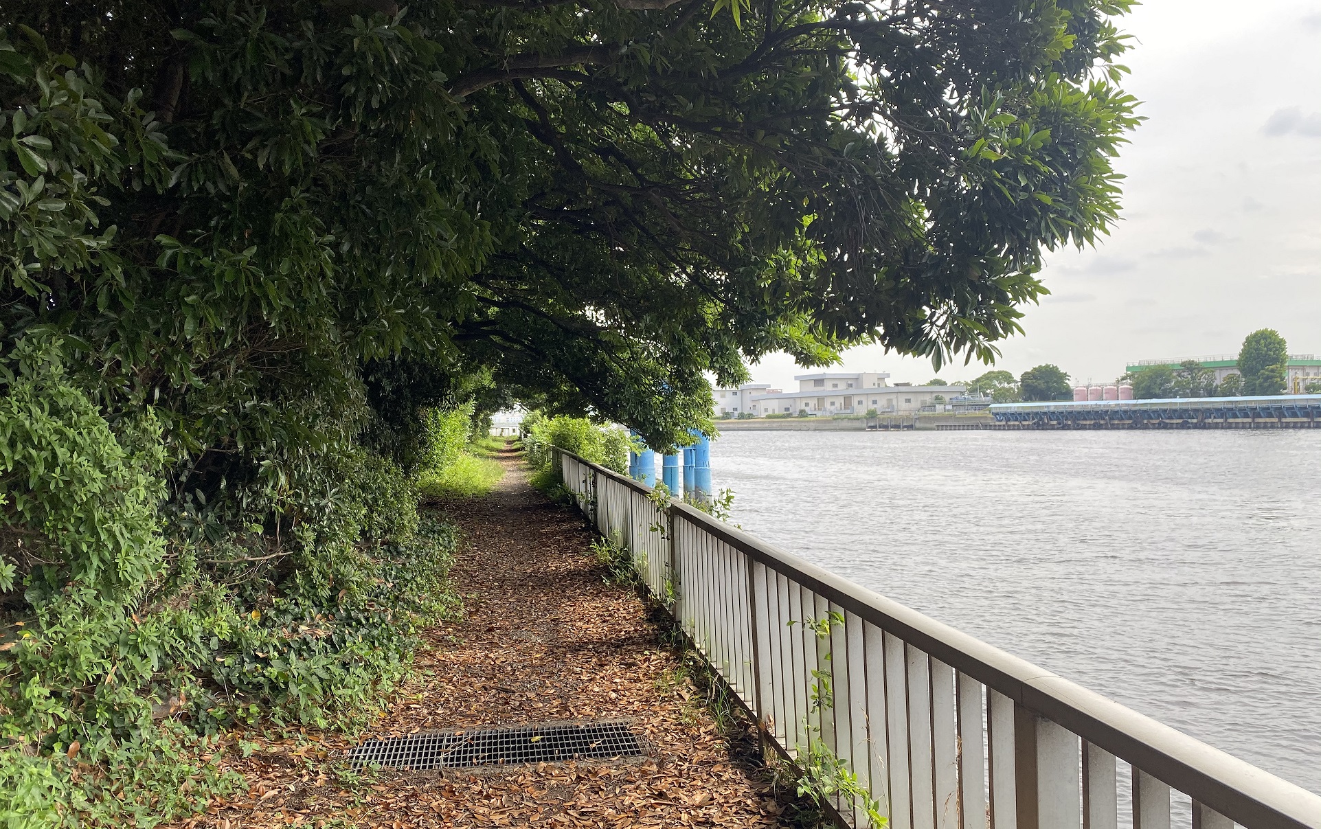 京浜島緑道公園05