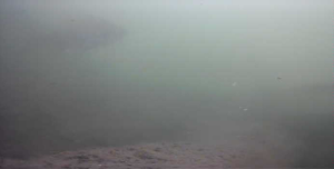津久井湖　バス釣り　日赤下　水中写真　ブルーギル