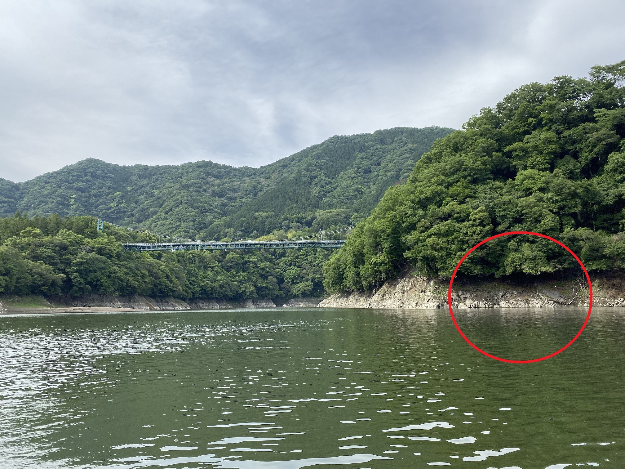 津久井湖　バス釣り　名手ワンドポイント