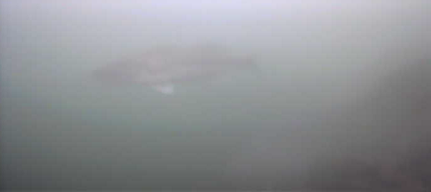 津久井湖　バス釣りポイント　又野送気所前　水中写真　ブラックバス