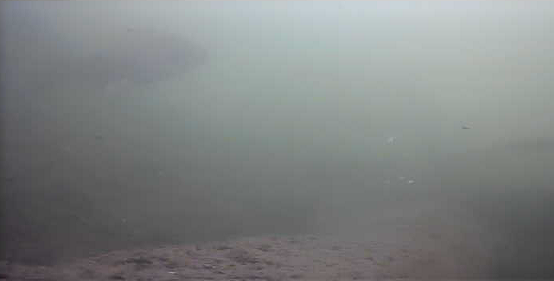 津久井湖　バス釣り　日赤下　水中写真　ブルーギル