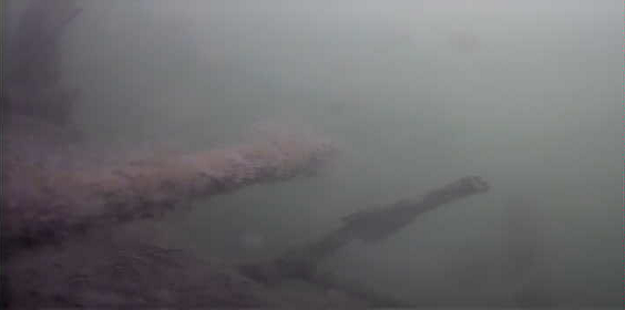 津久井湖　バス釣り　日赤下　水中写真　レイダウン