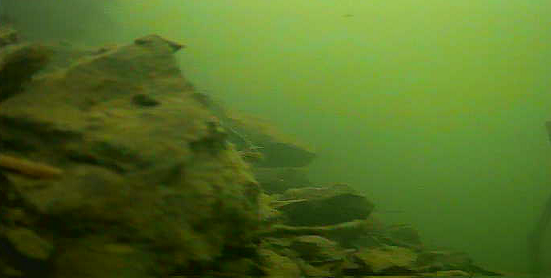 津久井湖　バス釣りポイント　馬渡ワンド　水中映像