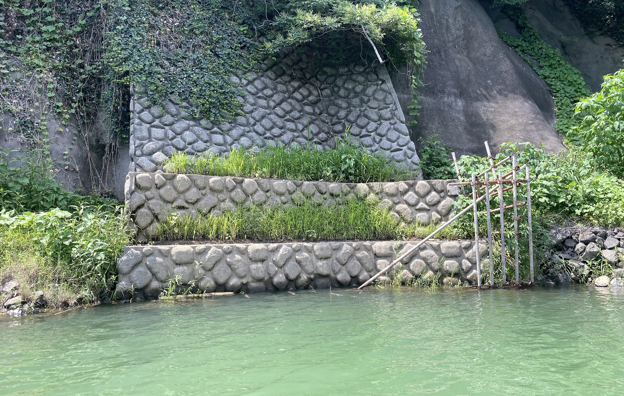 津久井湖　バス釣りポイント　三井大橋横ヒナダン