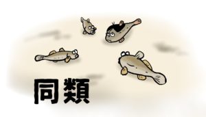 津久井湖　神社跡　チエハゼ