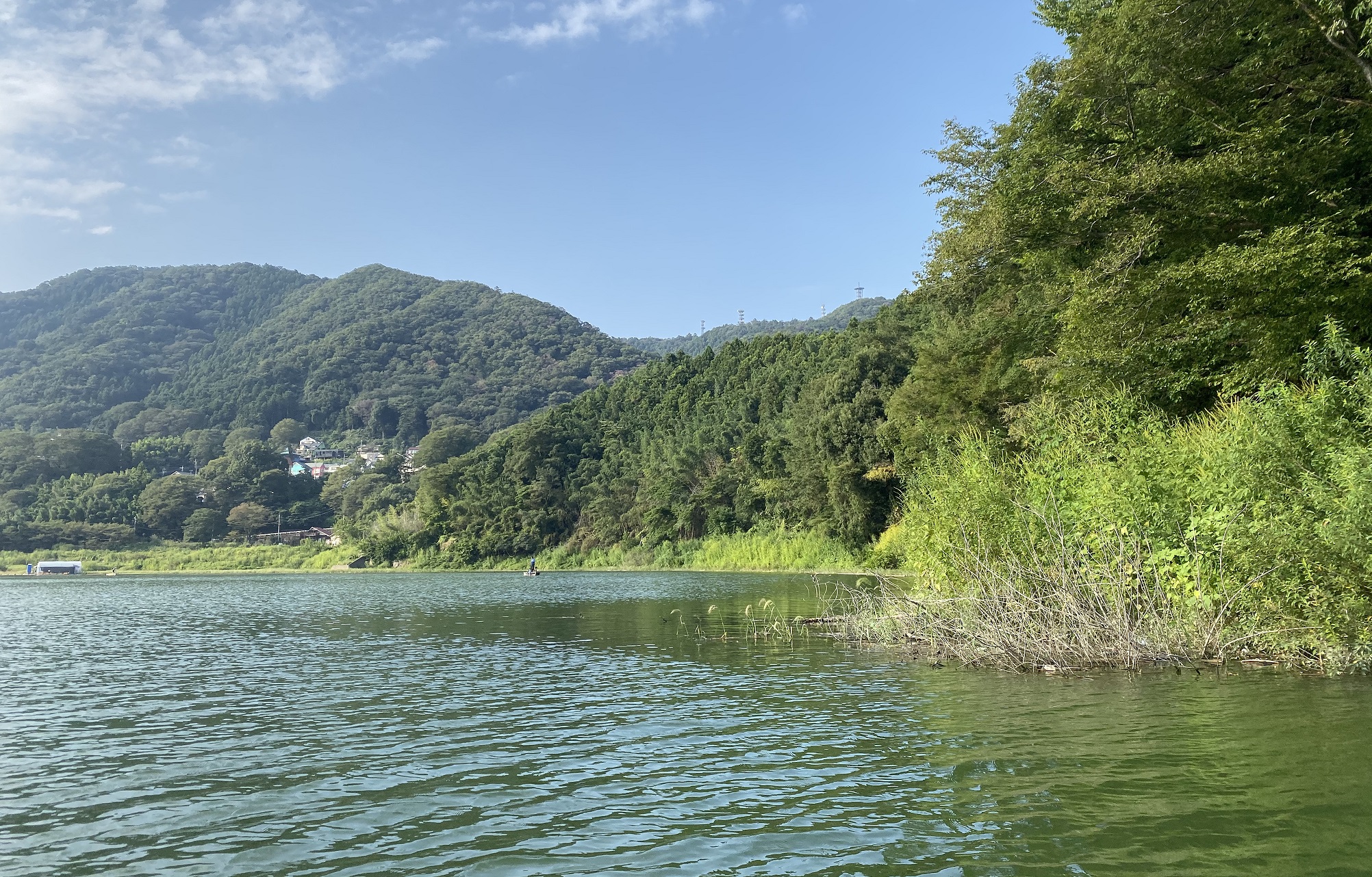 津久井湖　バス釣りポイント　神社跡