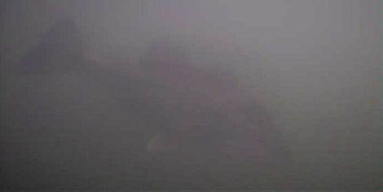 津久井湖　バス釣りポイント　神社跡　水中映像