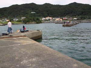 千葉県の釣りスポットガイド　太夫崎港