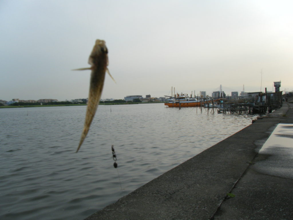 東京湾奥の釣りスポットガイド　海老取川河口