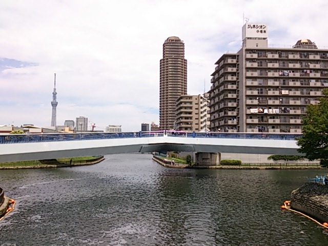 東京湾奥の釣りスポットガイド　小名木川クローバー橋