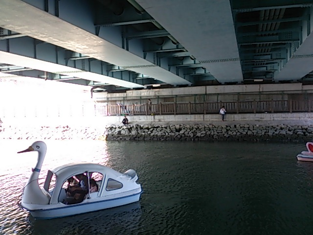 東京湾奥の釣りスポットガイド　新左近川親水公園