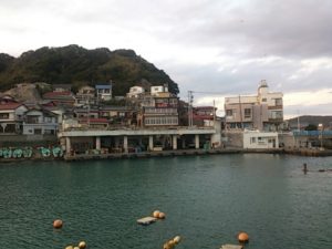 千葉県の釣りスポットガイド　太海港
