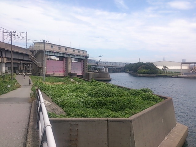 千葉県の釣りスポットガイド　真間川水門
