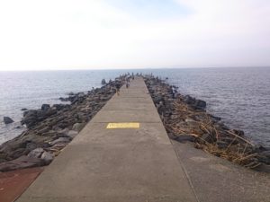千葉県の釣りスポットガイド　龍島港