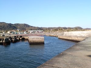 千葉県の釣りスポットガイド　根本港