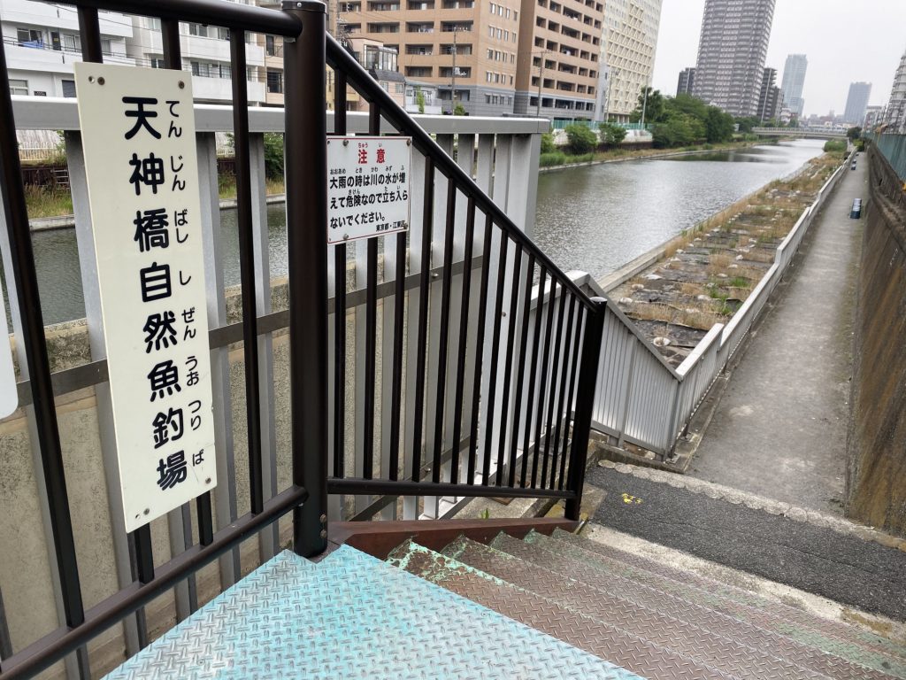東京湾奥の釣りスポットガイド　天神橋自然魚釣り園