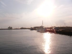 千葉県の釣りスポットガイド　片貝漁港