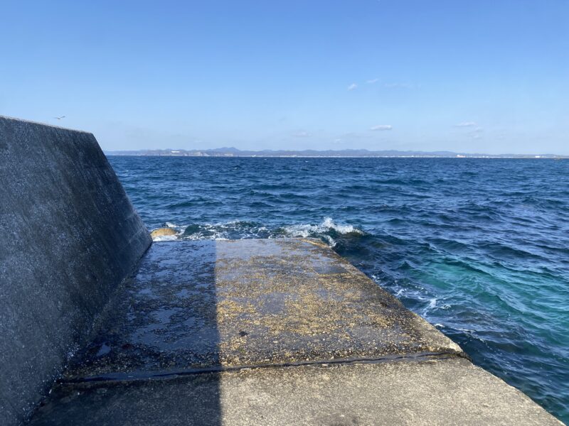 坂田漁港　釣り