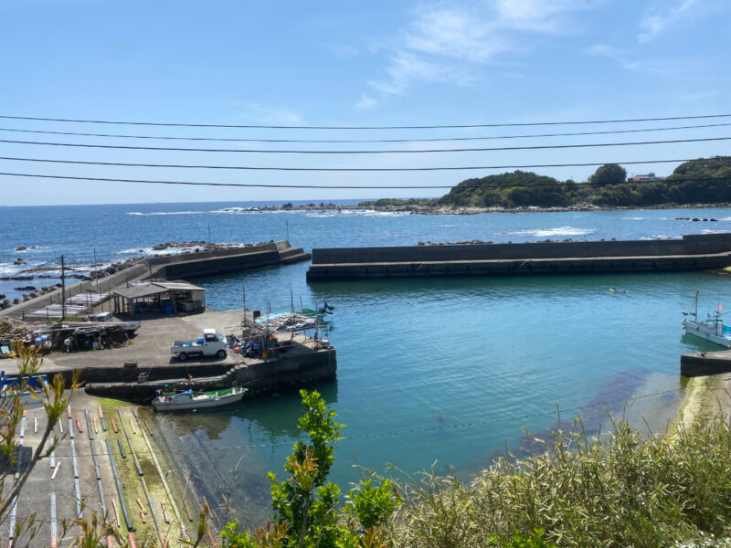 小正月港　釣り