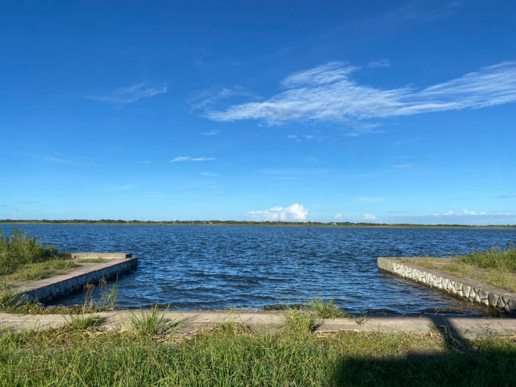 桜井町公園 釣り