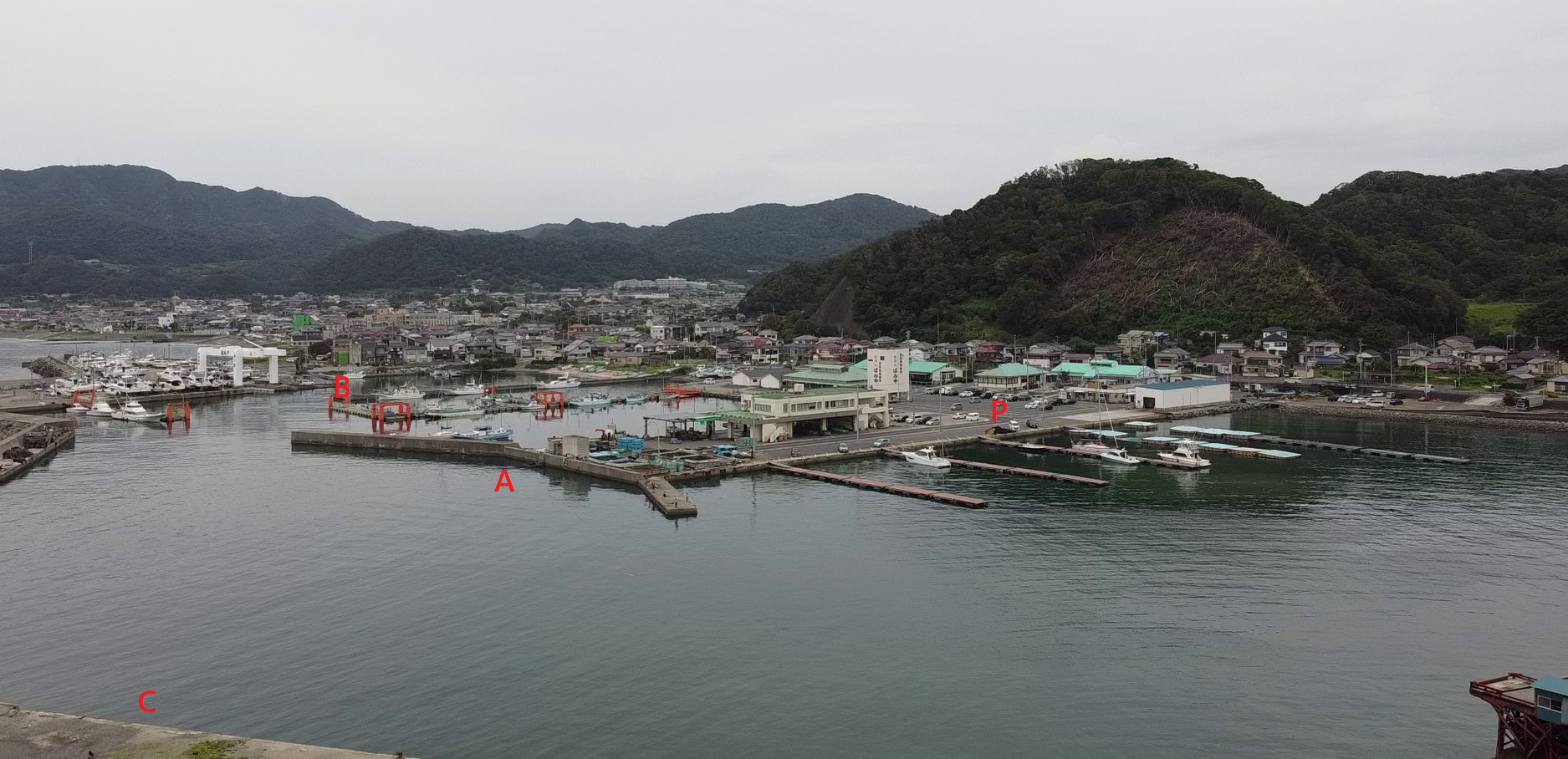 千葉県の釣りスポットガイド　保田港