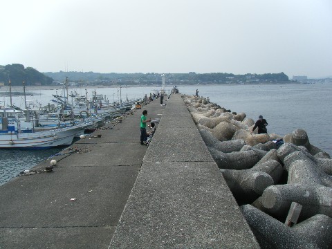 金田漁港