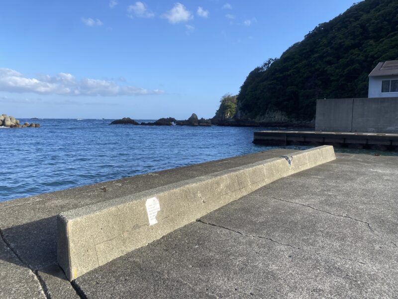 本瀬港　釣り