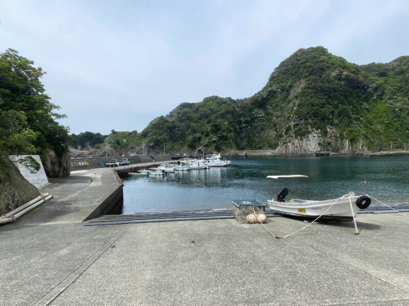 中木漁港　釣り