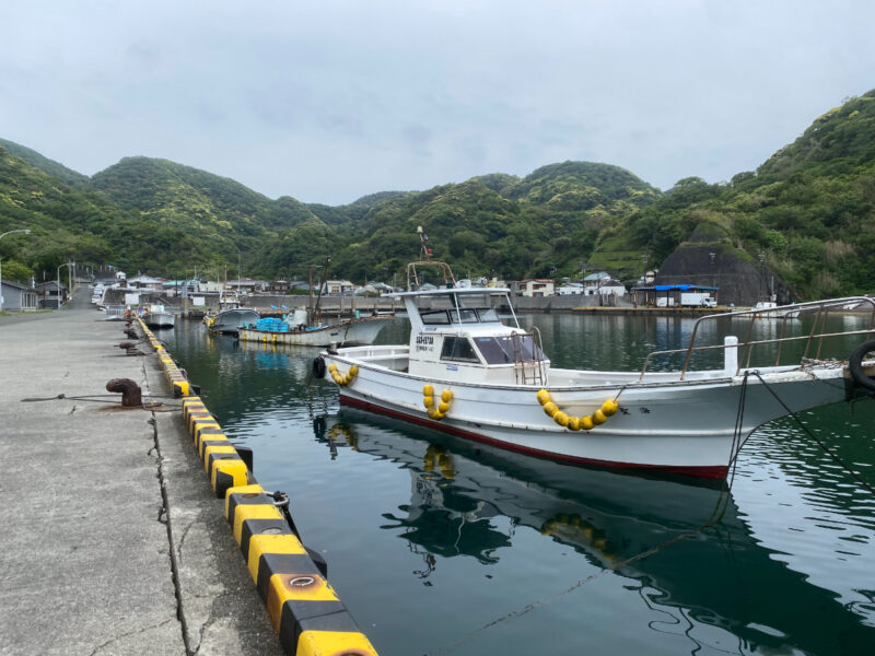 妻良漁港　釣り
