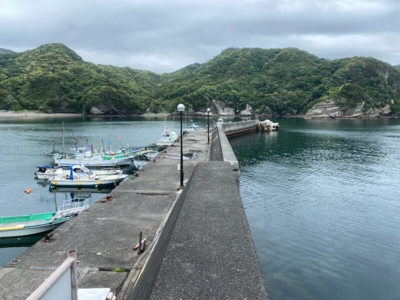 子浦漁港　釣り