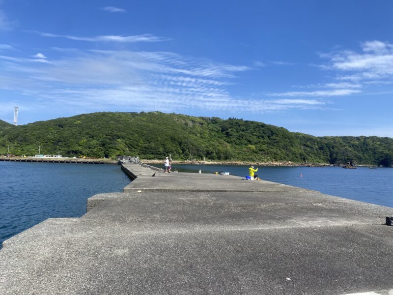 下田港　福浦堤防　釣り