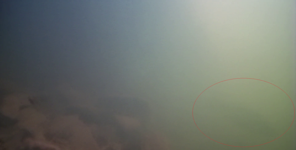 津久井湖 バス釣り 豚小屋下