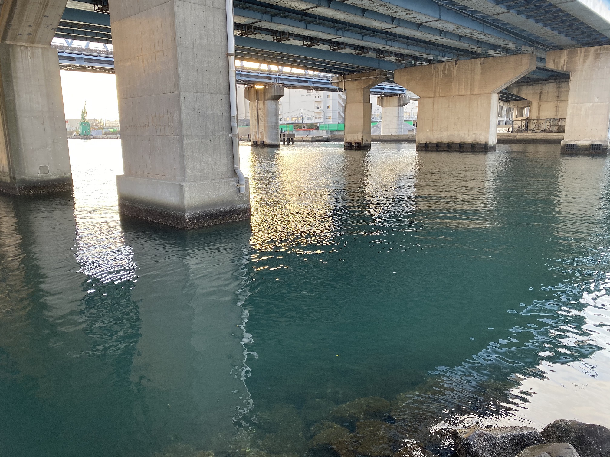 船橋港親水公園