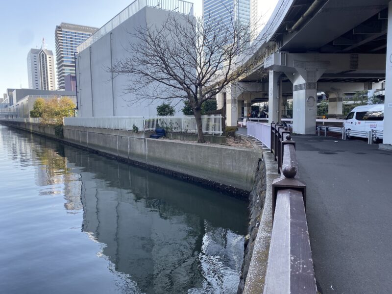 浜離宮庭園前 釣り
