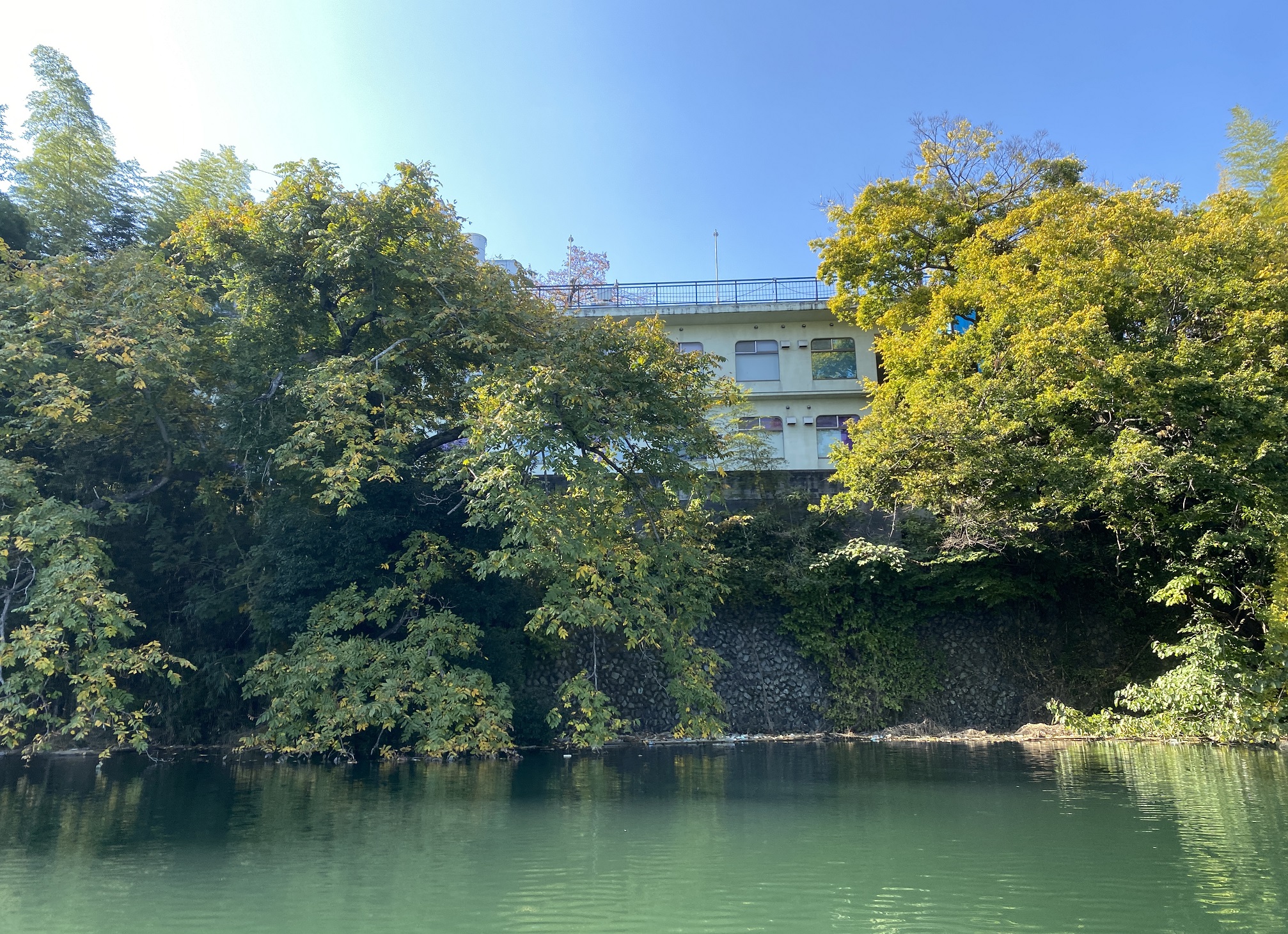 津久井湖 バス釣り ホテル下