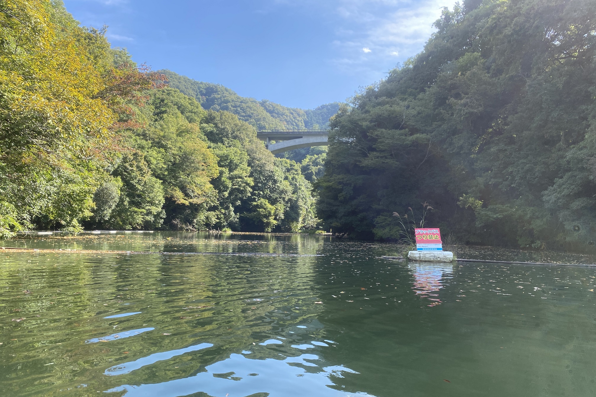 相模湖 バス釣り 教習所下