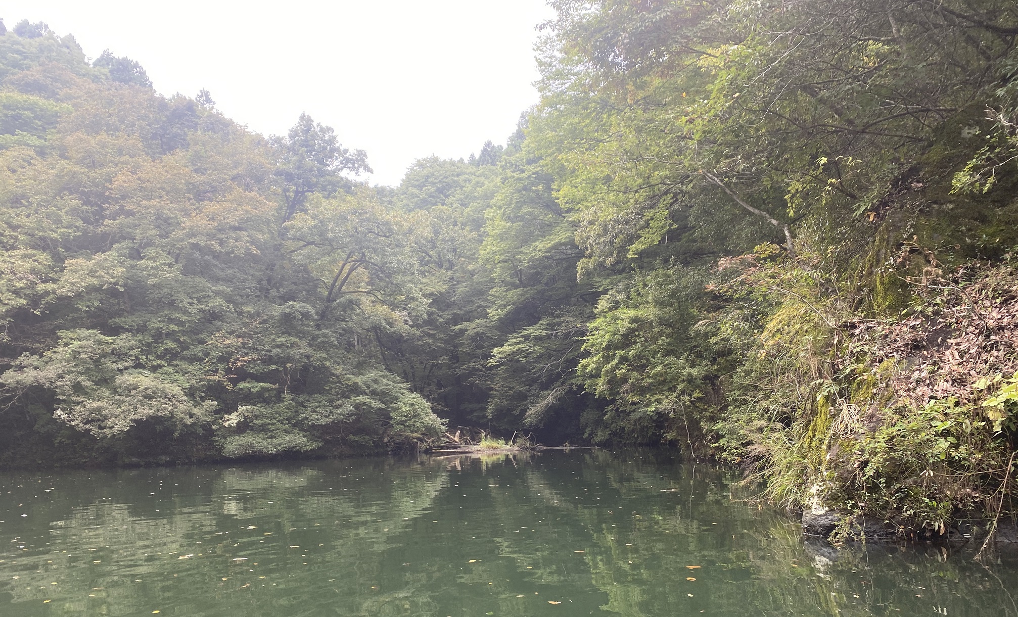 相模湖　矢沢ワンド