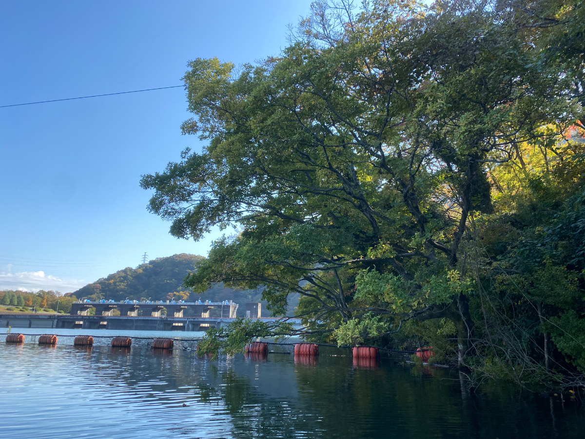 津久井湖 バス釣り 観光センター下