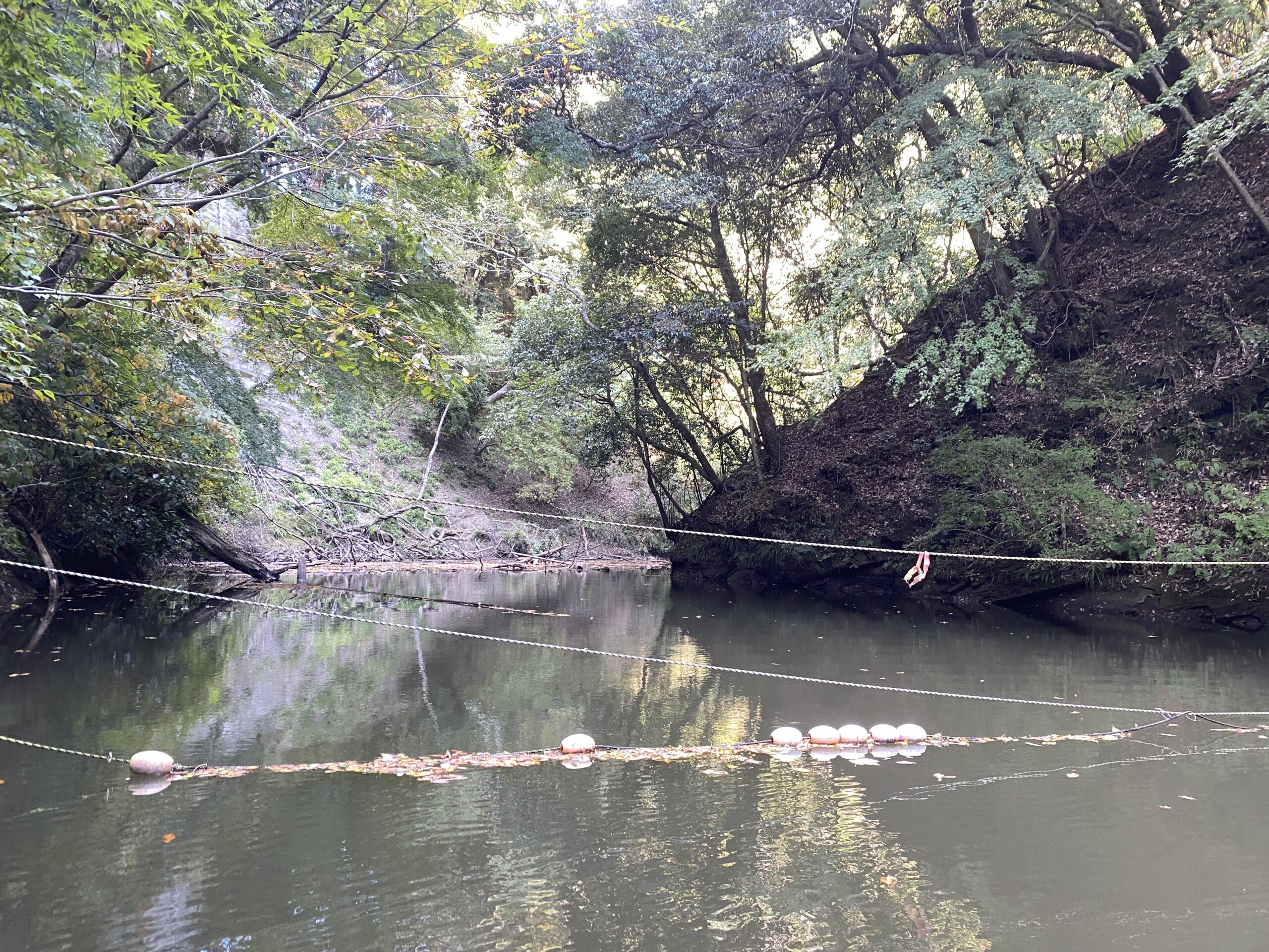 亀山湖　バス釣り　押切沢ワンド